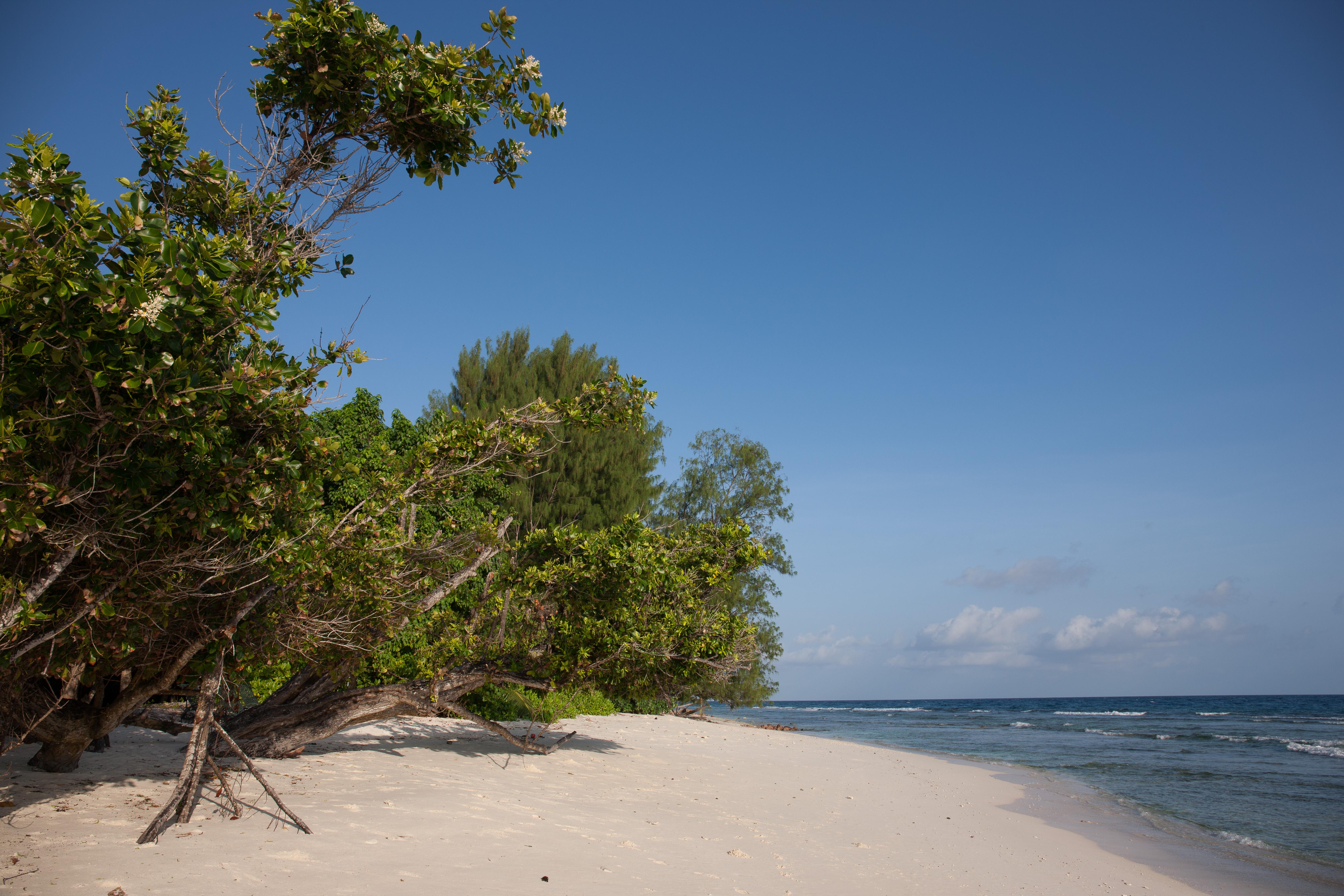 Le Relax Luxury Lodge (Adults Only) Isola di Isola di La Digue Esterno foto