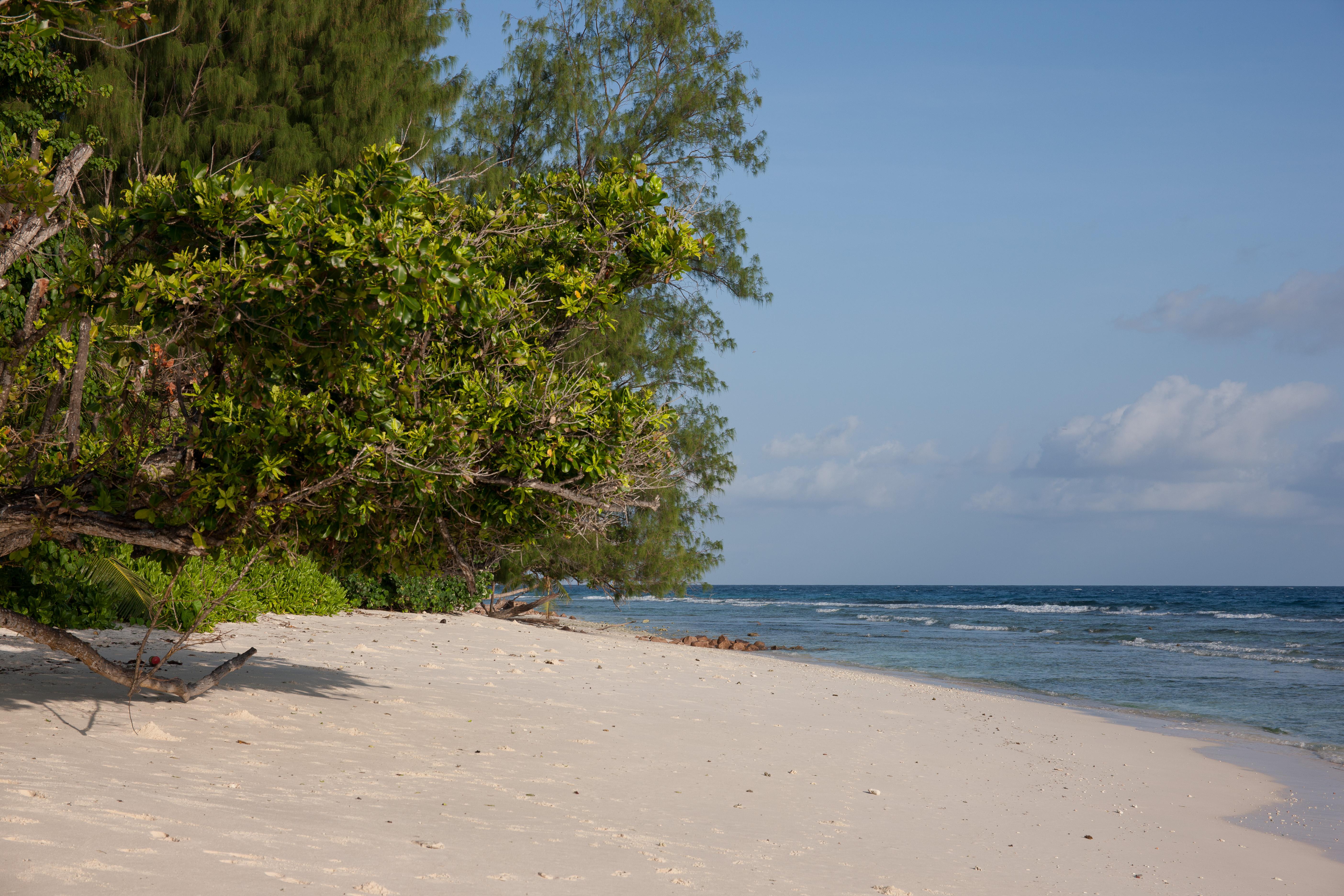Le Relax Luxury Lodge (Adults Only) Isola di Isola di La Digue Esterno foto